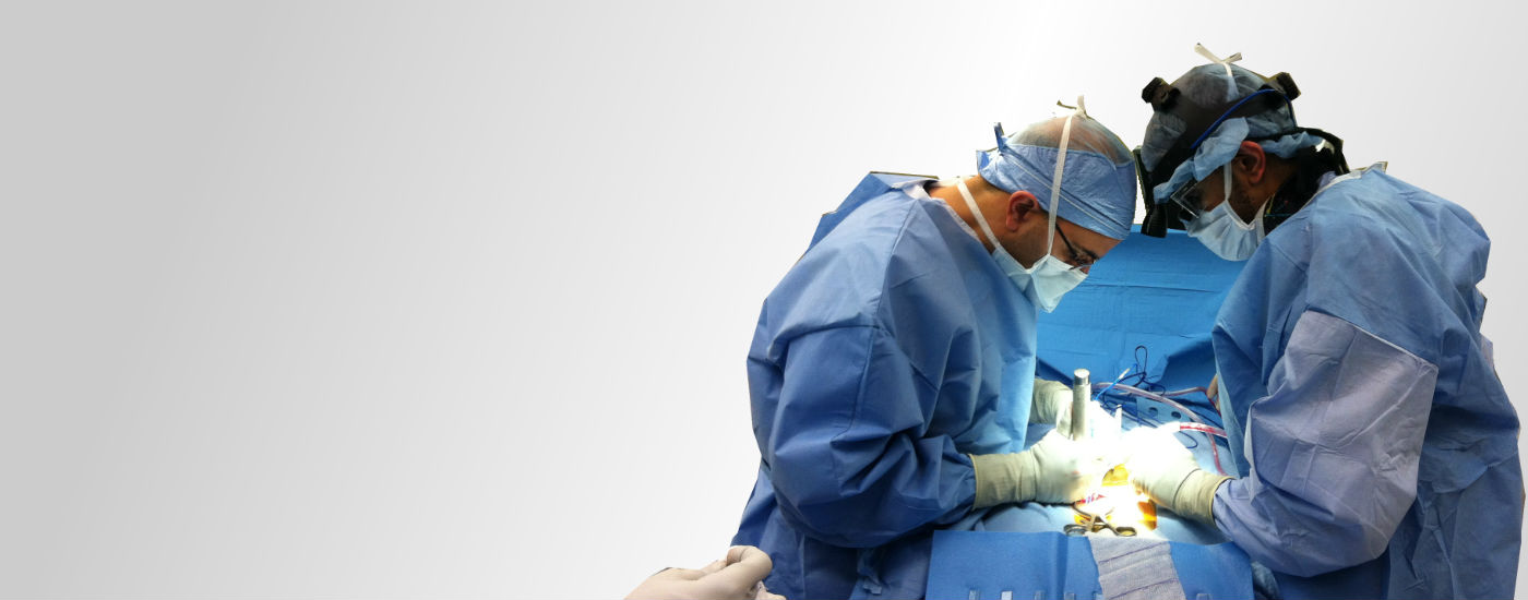 World Class Training